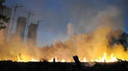 В Москве горит «Лосиный остров» В Москве горит «Лосиный остров»